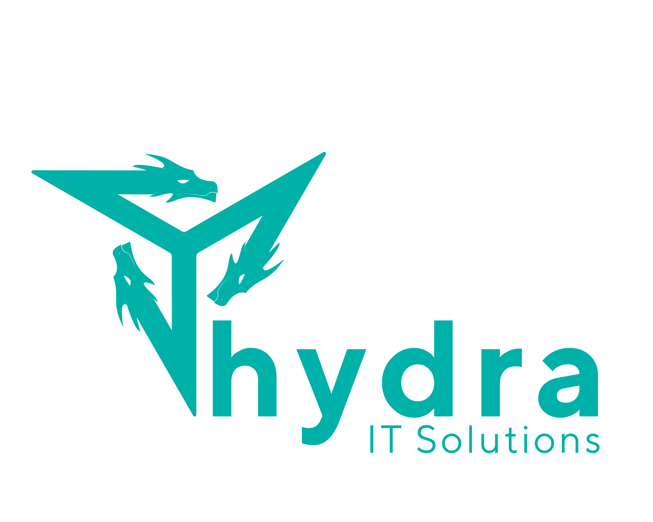 Hydra IT Solutions